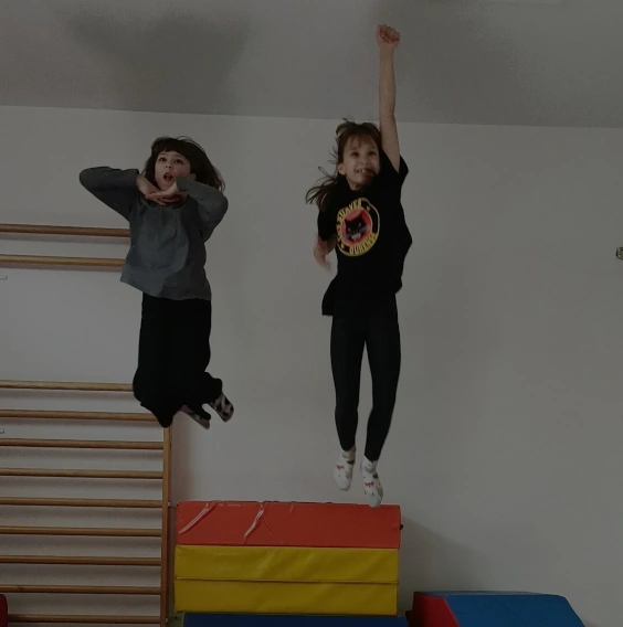 Funcions psicomotrista